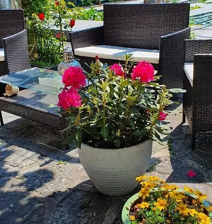 Losone: Casa Lussi Apartment