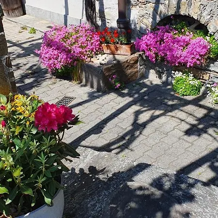 Losone: Casa Lussi Apartment Losone